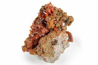 Fiery, Red-Orange Wulfenite Cluster - Kuruktag Mountains, China #361006