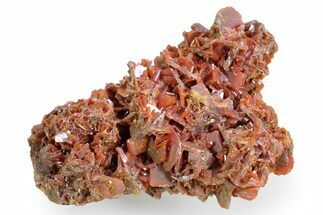 Fiery, Red-Orange Wulfenite Cluster - Kuruktag Mountains, China #361051