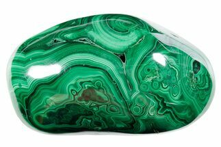 Flowery Polished Malachite Specimen - DR Congo #360806