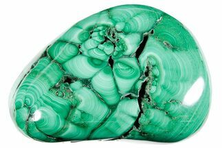 Flowery Polished Malachite Specimen - DR Congo #360909