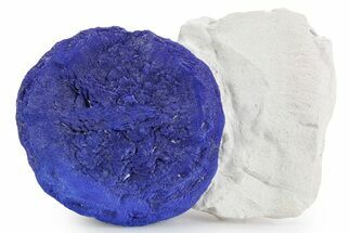 Vibrant Blue Azurite Sun on Siltstone - Australia #361148