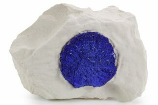 Vibrant Blue Azurite Sun on Siltstone - Australia #361234