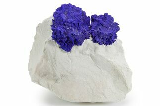 Vibrant Blue Azurite Suns on Siltstone - Australia #361237