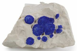 Vibrant Blue Azurite Suns on Siltstone - Australia #361240