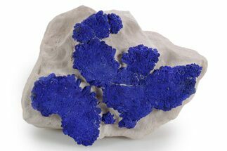 Vibrant Blue Azurite Suns on Siltstone - Australia #361247