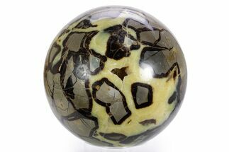 Huge, Polished Septarian Sphere ( lbs) - Madagascar #361330