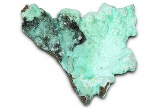 Sparkling Blue-Green Aurichalcite and Smithsonite - Utah #361332