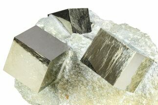 Three Gleaming Pyrite Cubes In Rock - Navajun, Spain #361774