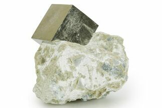 Natural Pyrite Cube In Rock - Navajun, Spain #361823