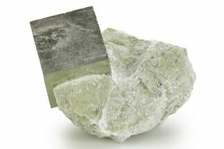 Natural Pyrite Cube In Rock - Navajun, Spain #361831