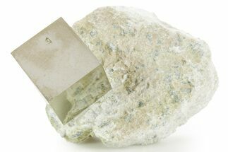 Natural Pyrite Cube In Rock - Navajun, Spain #361848