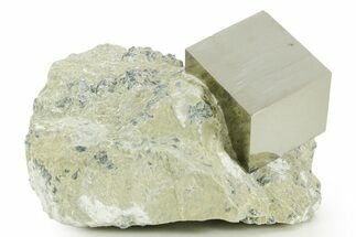 Natural Pyrite Cube In Rock - Navajun, Spain #361864