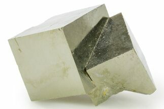 Shiny, Natural Pyrite Cube Cluster - Navajun, Spain #361906