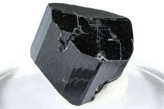 Lustrous Black Tourmaline (Schorl) Crystal - Namibia #361658