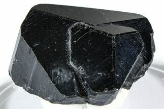 Lustrous Black Tourmaline (Schorl) Crystal - Namibia #361661