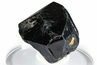 Lustrous Black Tourmaline (Schorl) Crystal - Namibia #361685