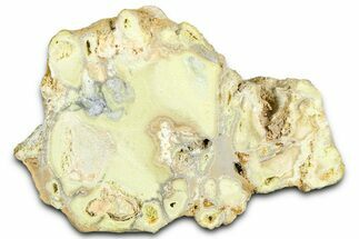 Clay Canyon Crandallite and Wardite - Old Collection Stock #361996