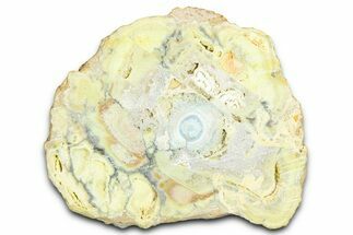 Clay Canyon Crandallite and Wardite - Old Collection Stock #362002