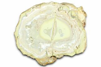 Clay Canyon Crandallite and Wardite - Old Collection Stock #362008