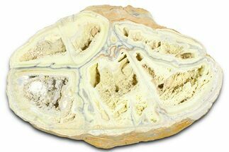 Clay Canyon Crandallite and Wardite - Old Collection Stock #362020