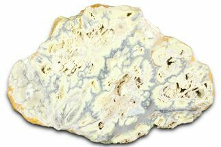 Clay Canyon Crandallite and Wardite - Old Collection Stock #362042