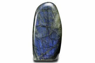 Flashy Free-Standing Polished Labradorite - Brilliant Blue #361969