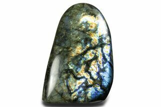 Flashy Free-Standing Polished Labradorite - Madagascar #361970