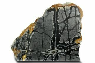 Free-Standing Polished Picasso Marble - Utah #362236
