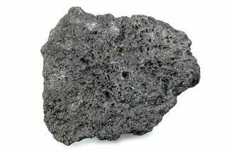 Fossil Glyptodont (Glyptotherium) Bony Armor Osteoderm - Florida #362290