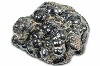 Kidney Ore (Botryoidal Hematite) - Morocco #349507