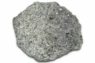 Fossil Glyptodont (Glyptotherium) Bony Armor Osteoderm - Florida #362338