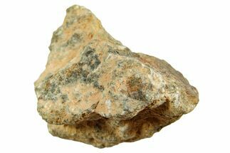 Howardite Meteorite ( g) - Bechar #348429