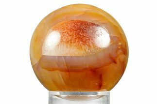 Colorful Carnelian Agate Sphere - Madagascar #361600
