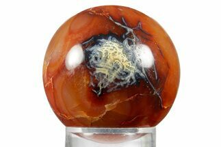 Colorful Carnelian Agate Sphere - Madagascar #361602