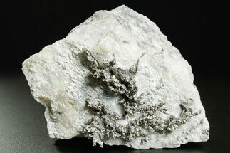 Native Silver in Calcite - Morocco #362830