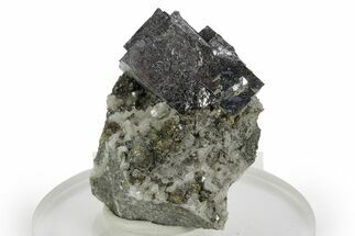 Cubic Galena with Chalcopyrite and Dolomite - Missouri #362854