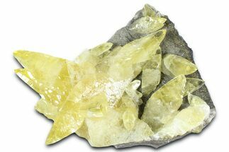 Gleaming Yellow Calcite Crystals on Matrix - Missouri #363382