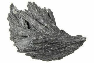 Intricate Black Kyanite Crystal Fan - Brazil #362687