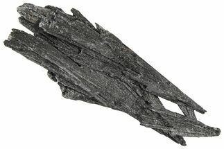Intricate Black Kyanite Crystal Fan - Brazil #362711