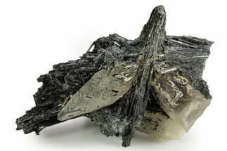 Black Tourmaline (Schorl) Crystal Cluster with Quartz - Namibia #363666