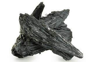 Black Tourmaline (Schorl) Crystal Cluster - Namibia #363668