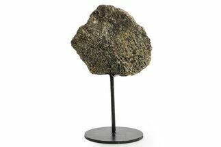 Fossil Triceratops Vertebra Section w/ Metal Stand - South Dakota #363615