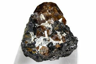 Fluorescent Zircon Crystals and Magnetite in Biotite Schist - Norway #363886