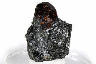 Fluorescent Zircon Crystal in Biotite Schist - Norway #363936