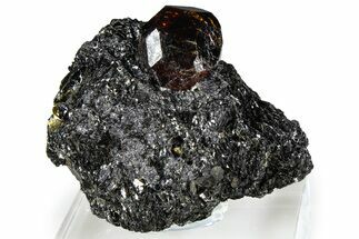 Pristine Zircon Crystal and Magnetite in Biotite Schist - Fluorescent! #363942