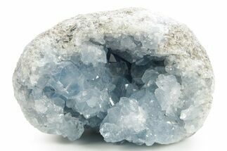 Sparkling Celestine (Celestite) Geode Section - Madagascar #364090