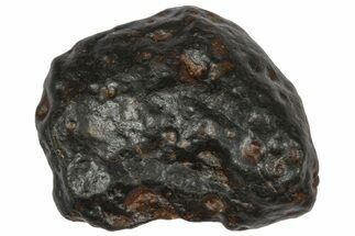 Carbonaceous Chondrite Meteorite ( g) - NWA #334421