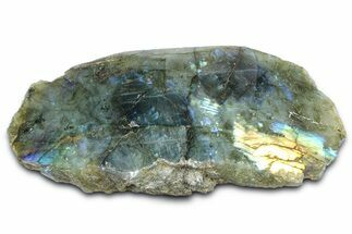 Single Side Polished Labradorite Section - Madagascar #364276