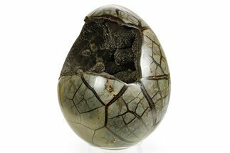 Septarian Dragon Egg Geode - Black Crystals #364467