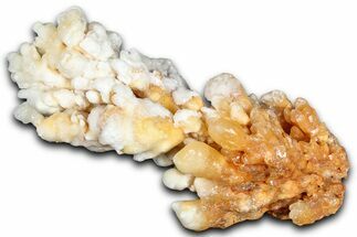 Sparkling Calcite/Aragonite Stalactite Formation - China #364515